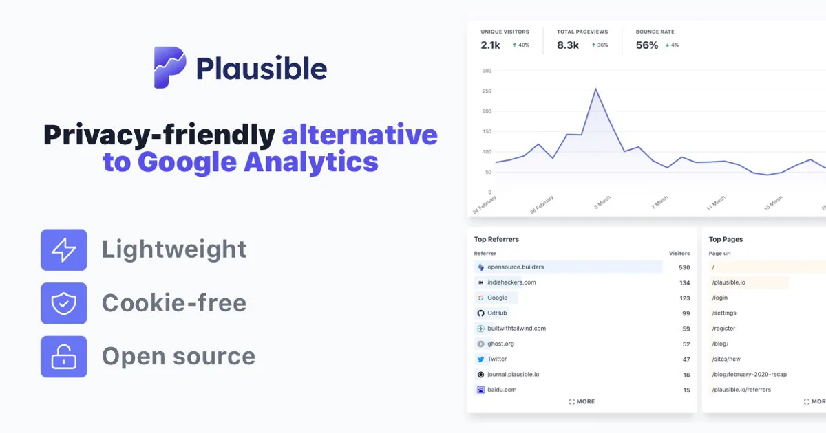 Plausible interface