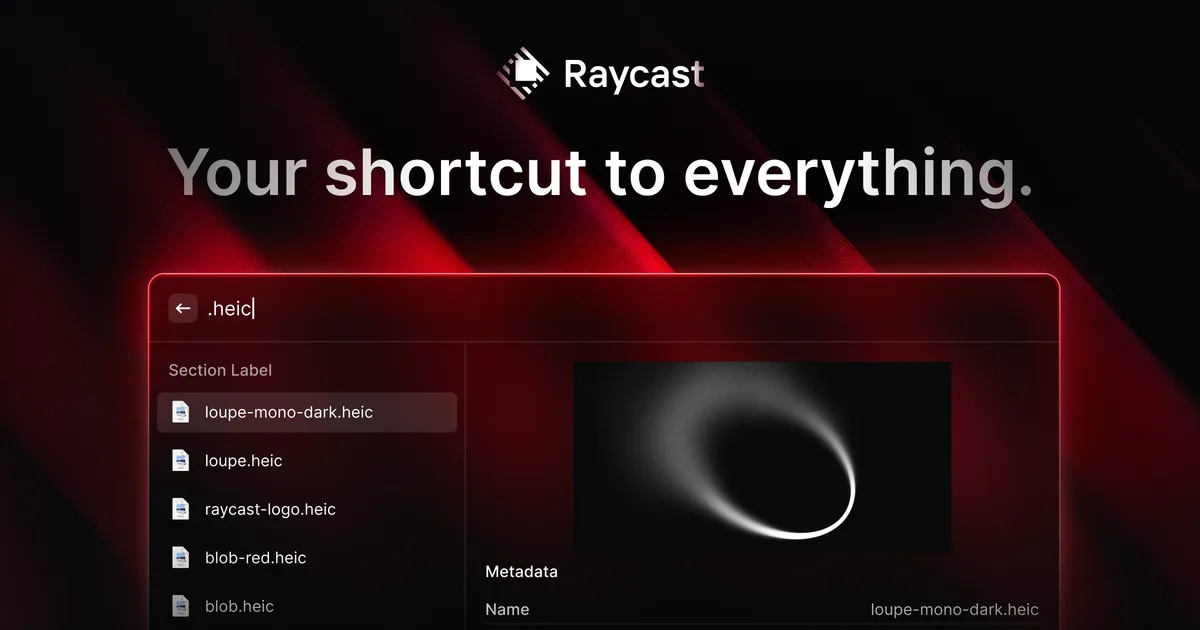 Raycast interface