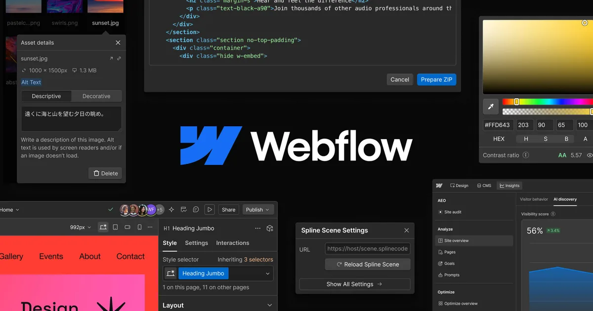 Webflow interface